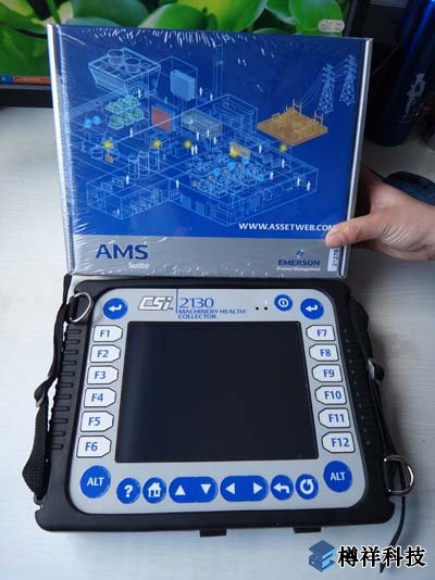 CSI2130振動(dòng)分析儀檢測(cè)數(shù)據(jù)分析報(bào)告
